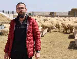 42 bin lira maaş, sigorta, dayalı döşeli ev ve karavana rağmen tarımın kalbinde çoban bulunamıyor