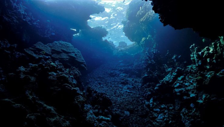 Bilim insanları okyanus derinliklerinde gizemli karanlık oksijen keşfetti